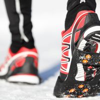 carbon-plated running shoes