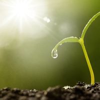 Sportswear Sustainability Certifications