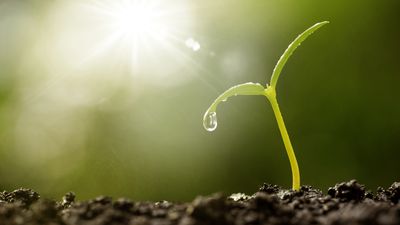 Sportswear Sustainability Certifications