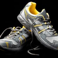 running shoe components