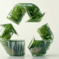 Eco-friendly sportswear innovations