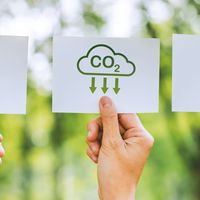 sustainable activewear