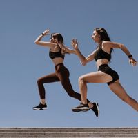 sports bra vs regular bra