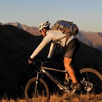 padded cycling shorts