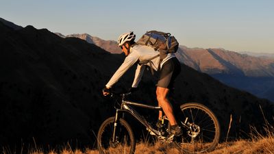 padded cycling shorts