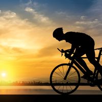 cycling apparel trends in 2025