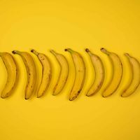 The very best cycling snacks displayed as 8 bananas on a yellow background